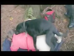Esposo Entrega Su Mujer Al Perro – Zoofilia_mpeg4