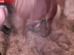 Dog porno fucking hardly a dirty whore showing cam 