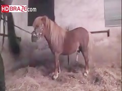 Amazing human fucks horse orgy with comdom