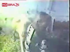 Dog creampie compilation fucking hardcore xxx