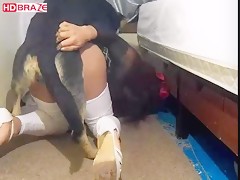 Young girl in school uniform gets fucked orgy by dog porn 