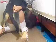 Beauty girl in school uniform lets dog fucking and licking pussy