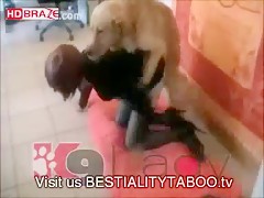 Erotic MILF with party mask lets dog porn her hardly HD animal xxx