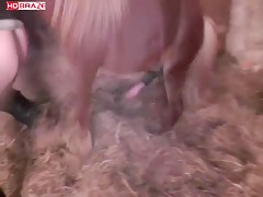 Amazing dog fucking horny woman on cam HD