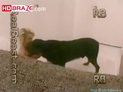 Horny blonde wife gets fucking pounded with dog porno HD