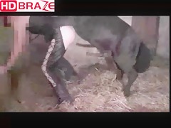 She needs a real horse dick fucking animal xxx