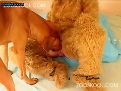 Good dog fucks blonde girl in cosplay 