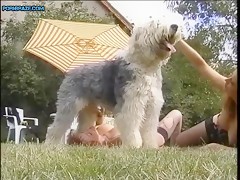 slut fucked by japanese bobtail - Animal Porn Free