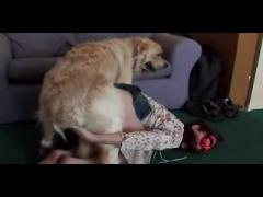 Young girl slut fun with dog - Animals porno