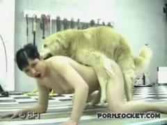 Blonde golden dog fucks hard bitch woman