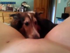 Lucky Pet between her thighs - Animal Porn Free