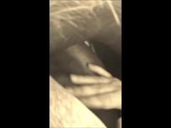 Amateur POV fucking horse