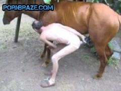 zoophile man and his horse Fuck Free - Animal Porn Free
