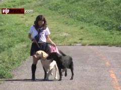 Outdoor Fucked Animal Dog