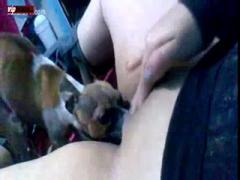 gif pussy for litte babe dog