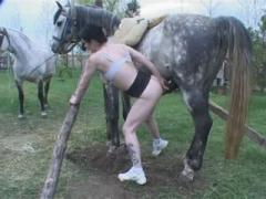 Horny girl slut fucking horse free porn