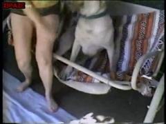Lets enjoy with dog porn for free