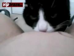 Black Cat Licking Pussy