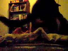 Amateur girl loves dog sex hard