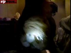 animal fuk free