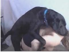 Dog streaming fucking hard woman