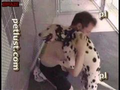 human And Dog fucking