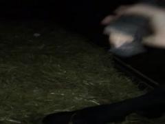 the horse gets standing when I runkade at the cook Part 3
