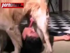dog cum face girl