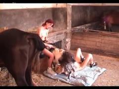 Threesome With Horse