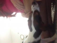 Cute dog loves pussy - Dog porn
