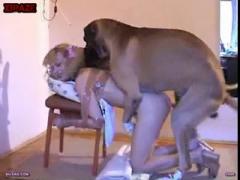 Bitch dog fucks girl to fill her wet cunt with perms