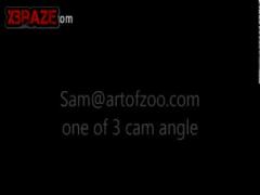 537c32b59e26b_(new)