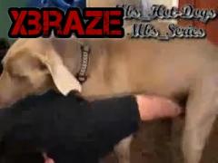Handjob and blowjob a big dog xxx dick 