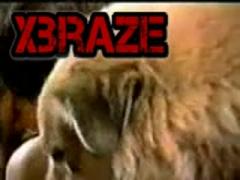 566872b312e3b_(new)