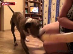 Bad Dog Sex with Misstress