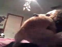 Cam Fuck dog