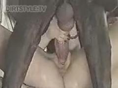 Big dog's dick rammed hard her pussy