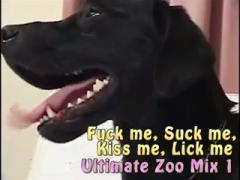Opening her legs fucked by nice dog - Animal sex HD