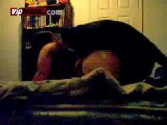 hot cam fuk dog