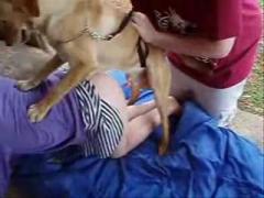 Let dog fucks girl for orgasm