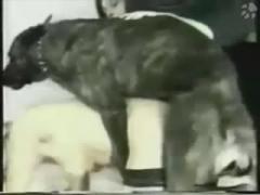 Hot bitch girl slut enjoys having sex with her dog - Dog Porn