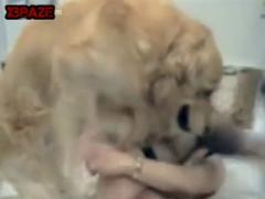 Big dog loves banged human cunt