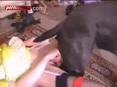 Party Sex With Dog