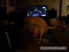 Having fun dinner with dog - dog porn