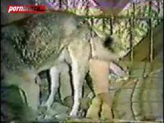 Dog Sex girl