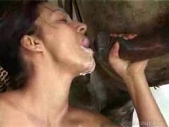 Bitch mature woman sucks a large horse dick 