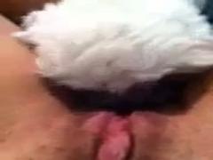 Pretty Dog fucking with girl on cam