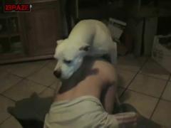 Style Doggy - Animal porn
