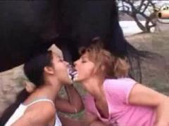 Horse cum with horny two girls