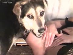 Alaska Dog Fucking Mistress